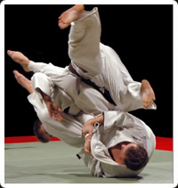 arti marziali tradizionali Fight and Fun: JU JITSU