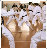 arti marziali tradizionali Fight and Fun: KARATE