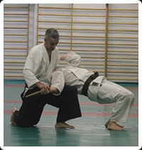 arti marziali tradizionali Fight and Fun: AIKIDO