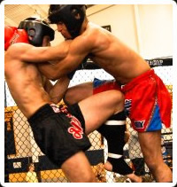 arti marziali tradizionali Fight and Fun: MUAY THAI