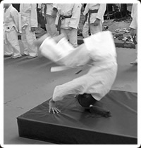 arti marziali tradizionali Fight and Fun: JUDO