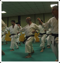 arti marziali tradizionali Fight and Fun: KARATE