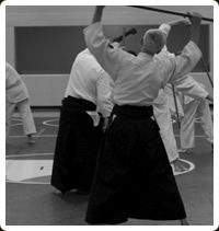 arti marziali tradizionali Fight and Fun: AIKIDO