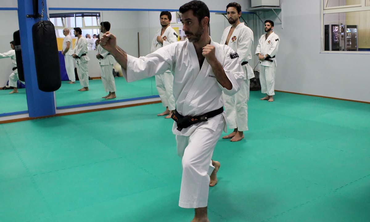 SHORINJI KEMPO